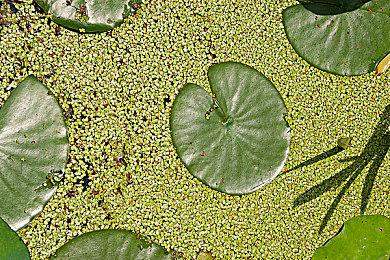 TGA 2024：《索尼克赛车CrossWorlds》公布先导预告