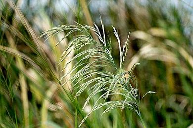 粉丝分析《星空》新视频：游戏图像和游戏性改进